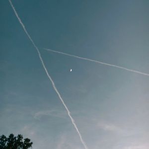 Meet your Posher, Ava